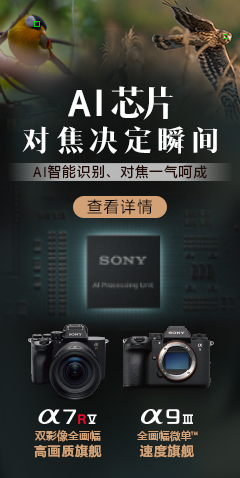 索尼雙影像 生態拍攝系統-AI芯片 對焦決定瞬間